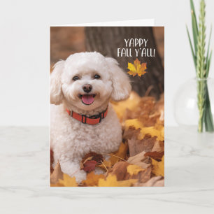 Tarjeta Festiva Perro Bichon Frise de Acción de Gracias con Hojas