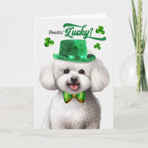 Tarjeta Festiva Perro Bichon Frise Sintiéndose Afortunado Día de S