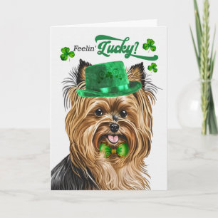 Tarjeta Festiva Perro Biewer Terrier Suerte Día de San Patricio