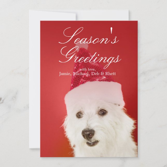 Tarjeta Festiva Perro blanco con el gorra de Santa (Anverso)