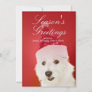 Tarjeta Festiva Perro blanco con el gorra de Santa