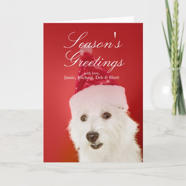Tarjeta Festiva Perro blanco con el gorra de Santa (Anverso)
