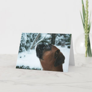 TARJETA FESTIVA PERRO BOXEO EN NIEVE