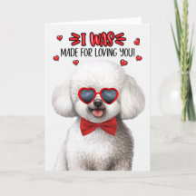Perro chino de Bichon Frise que te ama San Valentí