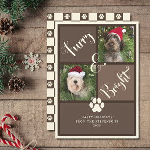 Tarjeta Festiva Perro Collage de fotos Marrón Luminoso Y Luminoso