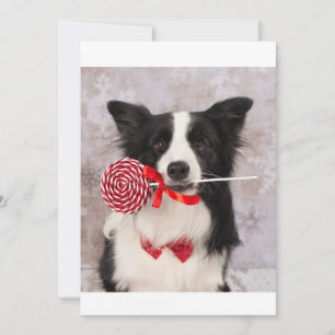 Tarjeta Festiva Perro Collie