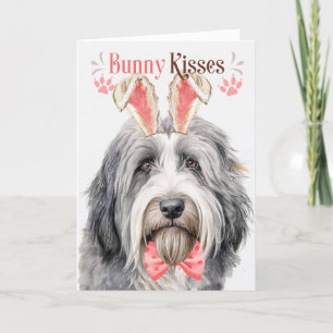 Tarjeta Festiva Perro collie con barba en las orejas de los coneji