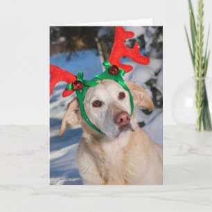 Tarjeta Festiva Perro con anillos de reno