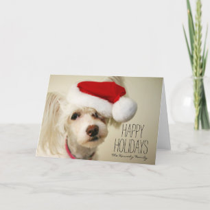 Tarjeta Festiva Perro con cresta chino blanco del powderpuff