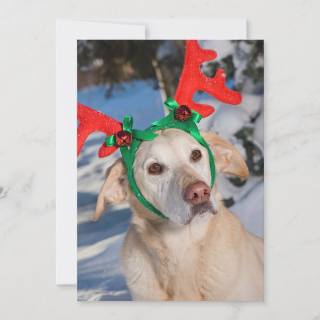 Tarjeta Festiva Perro con cuernos de reno (Anverso)