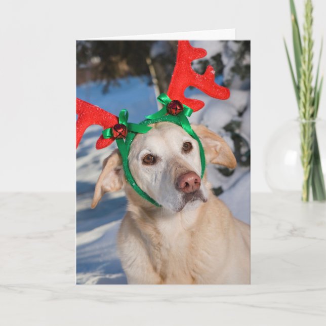 Tarjeta Festiva Perro con cuernos de reno (Anverso)