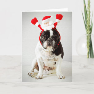 Tarjeta Festiva Perro con la cabeza de santa
