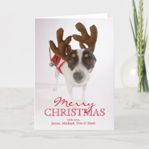 Tarjeta Festiva Perro con las astas y Bell