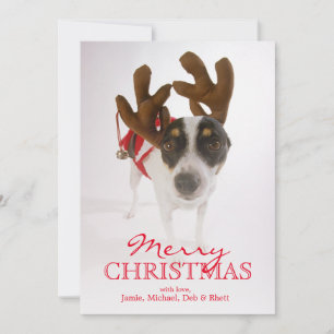 Tarjeta Festiva Perro con las astas y Bell