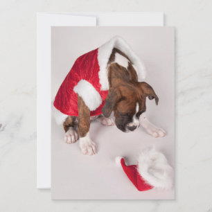 Tarjeta Festiva Perro con traje de Papá Noel
