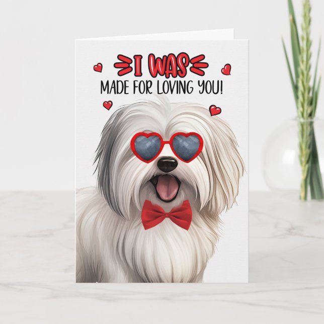 Tarjeta Festiva Perro Coton de Tulear hecho para amarte San Valent (Anverso)