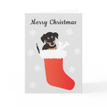 Perro Cuerdo En Un Salto De Nieve.