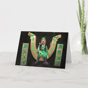 Tarjeta Festiva Perro de aguas de Leprechaun día de San Patricio c