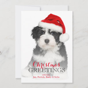 Tarjeta Festiva Perro de cachorro de Habana