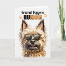 Perro de Cairn Terrier, el día de la madre más gra