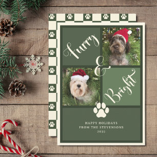 Tarjeta Festiva Perro De Collage de fotos Verde Luminoso