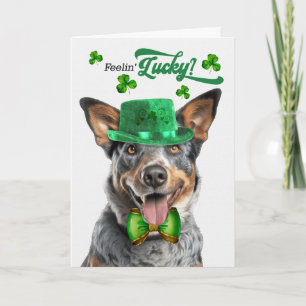 Tarjeta Festiva Perro de Ganado Australiano Feliz Día de San Patri