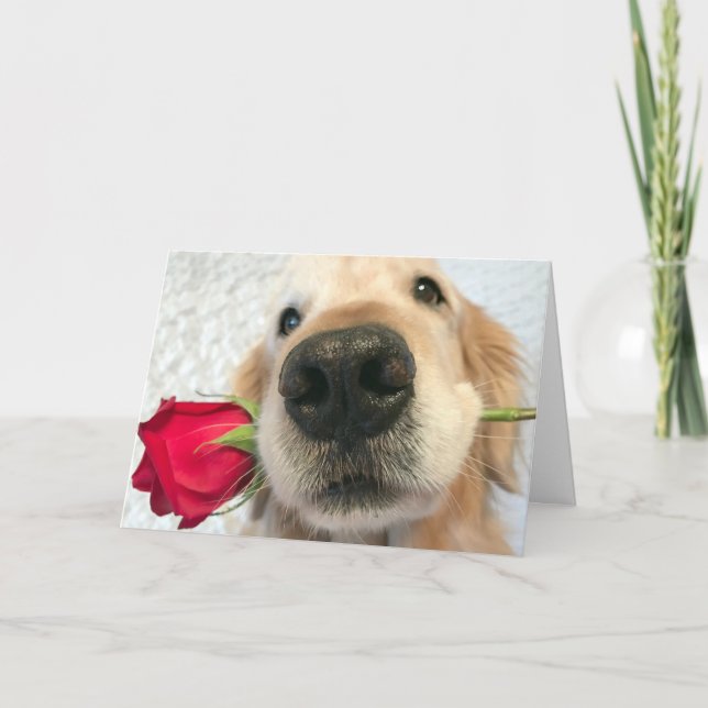 Tarjeta Festiva Perro de Golden Retriever con El día de San Valent (Anverso)