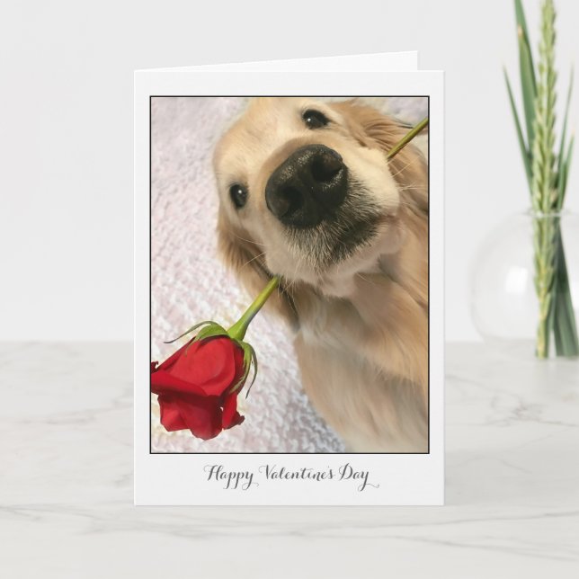Tarjeta Festiva Perro de Golden Retriever con El día de San Valent (Anverso)