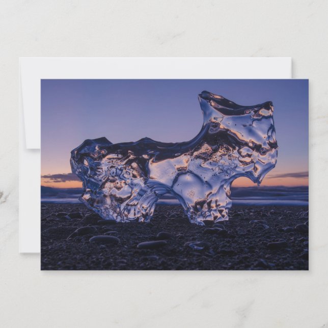 Tarjeta Festiva Perro de Iceberg (Anverso)