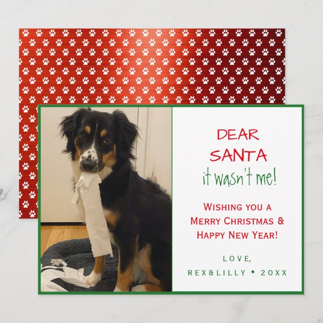 Tarjeta Festiva Perro de impresión divertida, rojo y verde (Anverso / Reverso)
