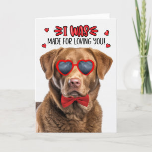Tarjeta Festiva Perro de la bahía de Chesapeake hecho para amarte 