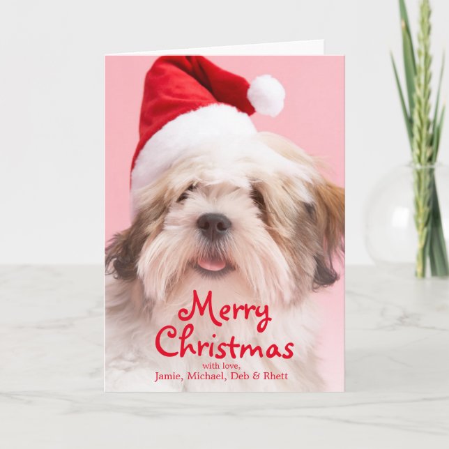 Tarjeta Festiva Perro de Lasa Apso que lleva el gorra de Santa (Anverso)