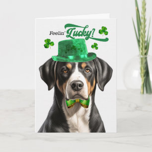 Tarjeta Festiva Perro de montaña suizo se siente afortunado día de