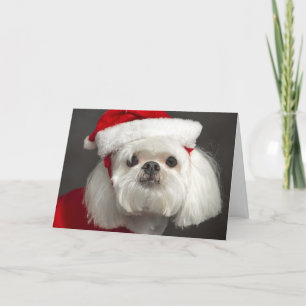 Tarjeta Festiva Perro de Papá Noel