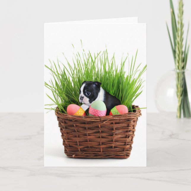 Tarjeta Festiva Perro de Pascua Boston Terrier (Anverso)