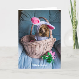 Tarjeta Festiva Perro de Pascua en una canasta