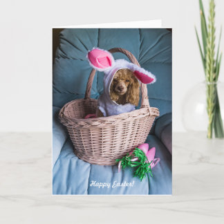 Tarjeta Festiva Perro de Pascua en una canasta