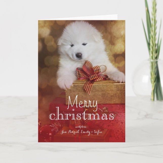 Tarjeta Festiva Perro de perrito del samoyedo con los regalos del (Anverso)