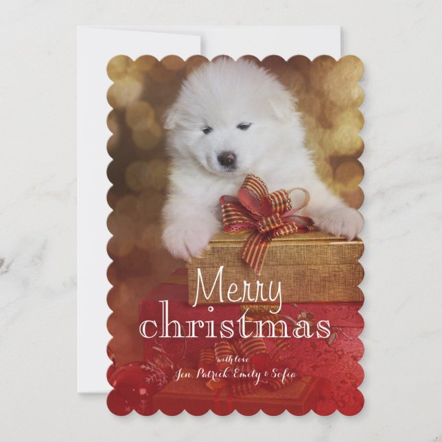 Tarjeta Festiva Perro de perrito del samoyedo con los regalos del (Anverso)