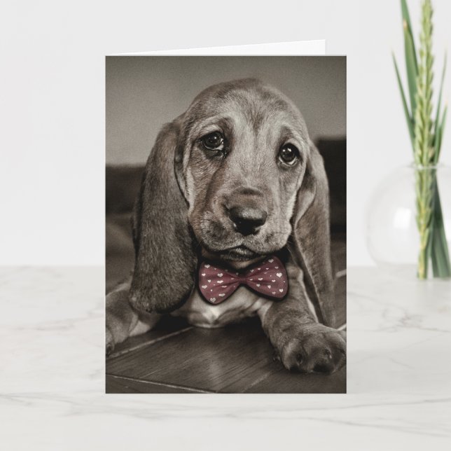Tarjeta Festiva Perro de perro de Basset de Sepia feliz Día de San (Anverso)