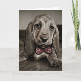 Tarjeta Festiva Perro de perro de Basset de Sepia feliz Día de San
