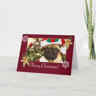 Tarjeta Festiva Perro de puerco navideño