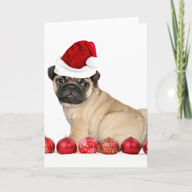 Tarjeta Festiva Perro de pug de navidades (Anverso)