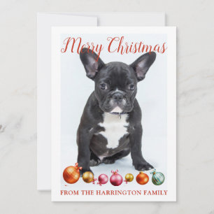 Tarjeta Festiva Perro de raza Bulldog Francés cachorro personaliza