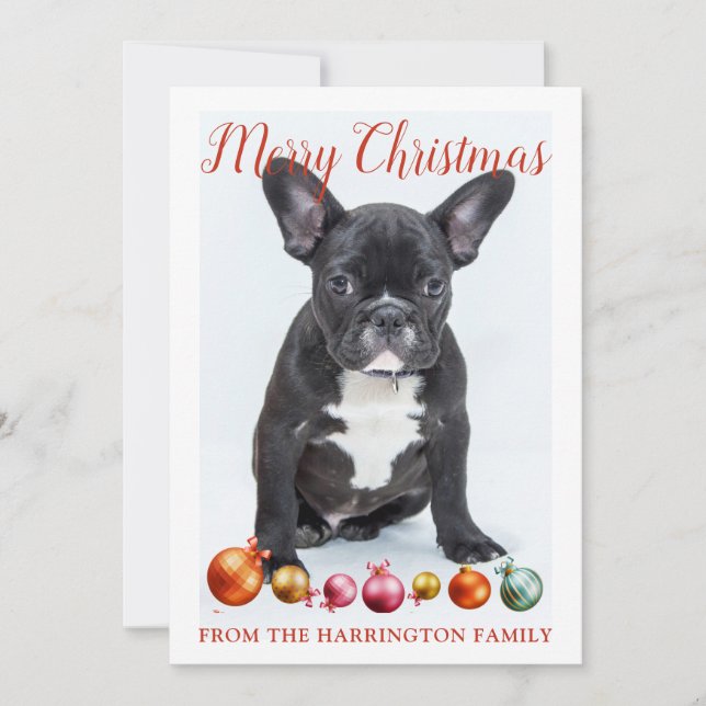 Tarjeta Festiva Perro de raza Bulldog Francés cachorro personaliza (Anverso)