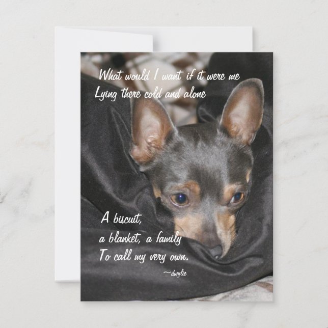 Tarjeta Festiva Perro de Refugio - Chihuahua (Anverso)