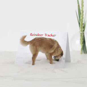 Tarjeta Festiva Perro de salvación y búsqueda de renos