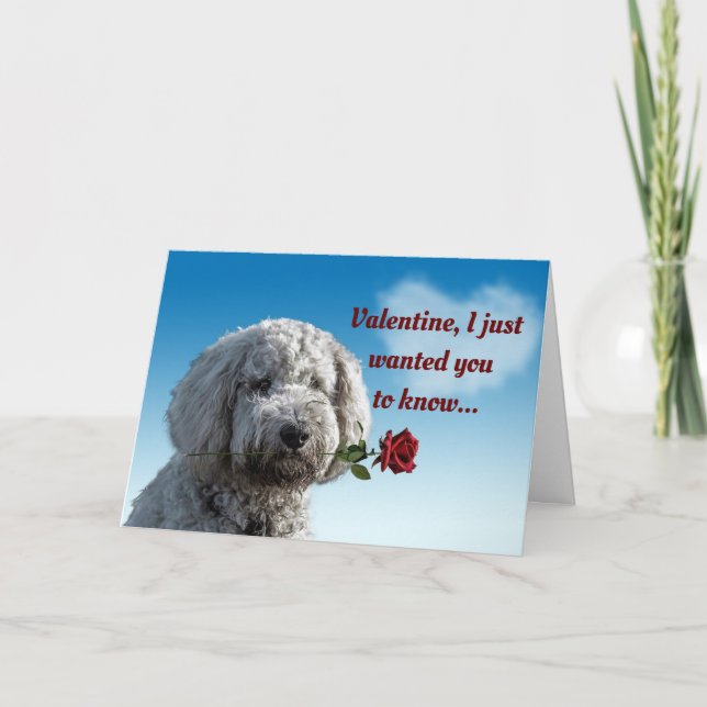 Tarjeta Festiva Perro de San Valentín con Rosa (Anverso)