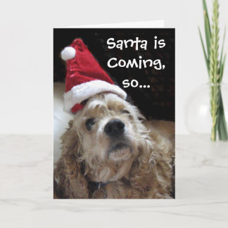 Tarjeta Festiva Perro de Santa Chance