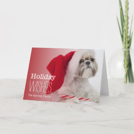 Tarjeta Festiva Perro de Shih Tzu que lleva un gorra de Papá Noel